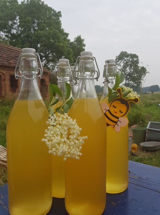 Bügelbild Biene vegan mit Holundersirup Literflasche